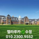 수정유통 | 멜라루카 수정. 허니레몬 사탕 소비자의 후기