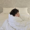 산택스테이