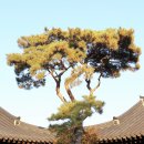 너른마당 이미지