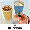 울산 영남 알프스 등억꽃향 대형베이커리 카페 후기 울주 가볼만한곳