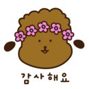 앤애견샵 이미지