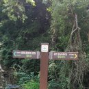 광원리 월둔교 이미지