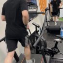 크로스핏 무브먼트 | 상동크로스핏 후기 운동 맛집[데이원무브먼트짐]