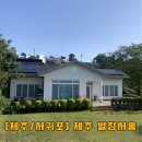 별장서홍 | [제주/서귀포] 제주숙소 에어비앤비 별장서홍 상세후기(내돈내산)