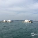 거금해양낚시공원 이미지