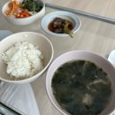 한국인의 밥상 황태해장국, 파육개장, 소고기미역국 간편식 밀키트 신혼 새댁 아침밥상!