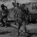ZORBA(조르바) 이미지