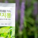 골드온누리 이미지