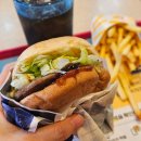 창원 대방동 롯데리아 : 점심할인 데리버거세트 후기