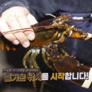 밤밭실내낚시터 이미지