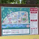 비발디 캠핑파크 | 홍천 비발디캠핑파크 본점 E2 데크존 캠핑 후기