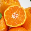 연세공감마취통증의학과의원 이미지