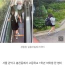 [속보]서울 관악구서 여고생 나흘째 실종…“보라매공원, 신림역 이동 기록” 이미지