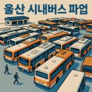 전국자동차노동조합연맹 울산지역버스노동 | 울산 시내버스 파업 6년 만의 교통대란