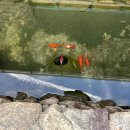 진도펜션 소해정 이미지