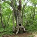 동대산 주차장 이미지