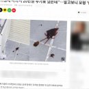 덕진-118 | 덕진구 진북동 입주청소, 직접 경험해보니