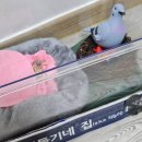 새 이미지