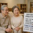 성우메디칼 | 고령자 전동침대 선택법과 가격 비교 팁