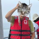 소서제주 7월3일 이미지