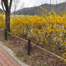 말뚝목장 이미지