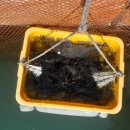 씨엔텔 민박 이미지