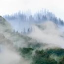 CU현대미래로점 | 우지라면 재출시 논란 가격 맛 파는곳