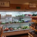 강남채소