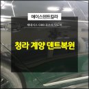 에이스덴트칼라