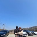 고래마니