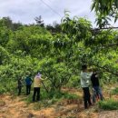 청웅면사무소 이미지