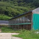 석인농장 이미지