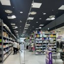 롯데약국 | 울산 창고형 약국방문 후기 “진장동 롯데마트 1층 메가플러스“