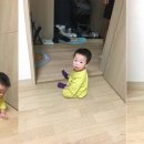 민석이네삼형제2호점 이미지