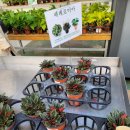 농협본점 이미지