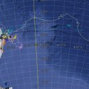 돌고래와펭귄 이미지