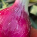 산직농장 이미지