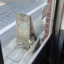 문흥2동 행정복지센터 마을사랑방 | 공주 무인 책방 가가책방 잔잔한 공주 여름 여행에서 만난 곳