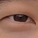 경주김안과의원 이미지