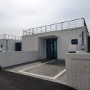 펠리시티 이미지