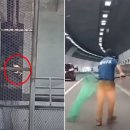 냥냥댕댕 이미지