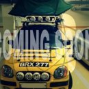 월수금통돼지 이미지