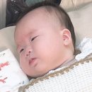 휘몰아쓰는 회전회오로그