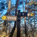 오안초등학교 이미지