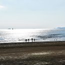 몽산포랑바다랑 이미지