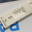 조주기능사 | 내 맘에 아무 의문이 없어 난 이 다음으로 가요
