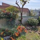 동읍스카이부동산중개사무소 | 창원동읍 주남저수지뷰 2가구 살기 좋은 전원주택을 소개드립니다.