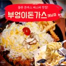 전남 해남 시내 현지인 군청 맛집 부엉이 돈가스 파스타 후기