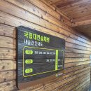 숲체원 | [대전여행] 돌아기와 국립대전숲체원 숙박 후기(3인실)