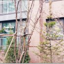 뉴프로공인중개사사무소 이미지